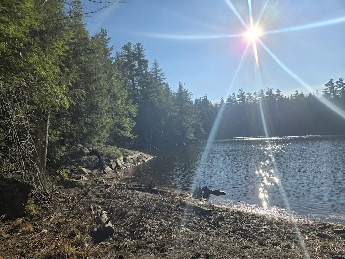 Gilson Pond Campground Picture 6