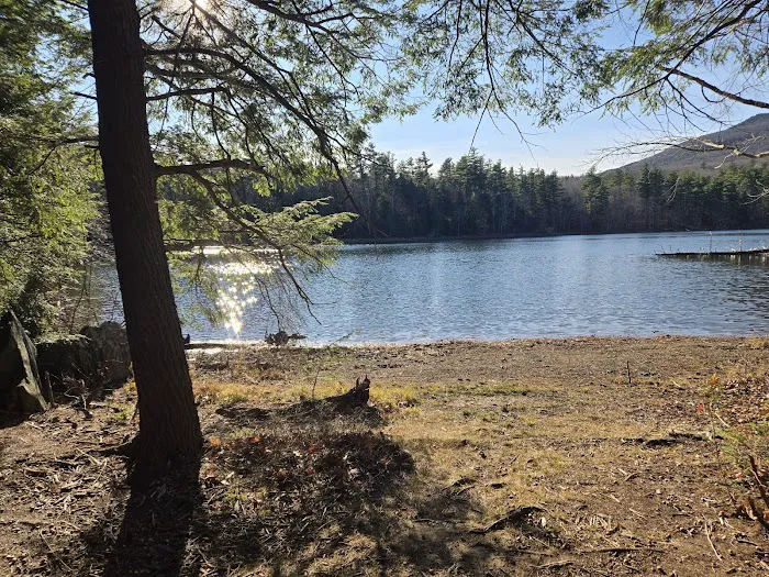 Gilson Pond Campground Picture 10