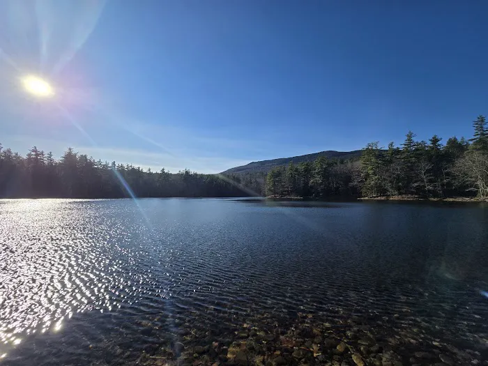Gilson Pond Campground Picture 2