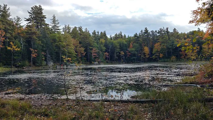 Gilson Pond Campground Picture 6