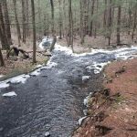Peaceful Acres Campground