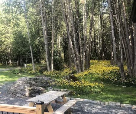 Newcomb Campground