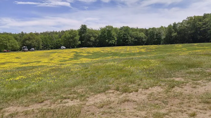 Field & Forest Recreation Area Picture 9
