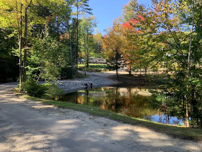 Spacious Skies Campgrounds - Seven Maples Picture 3