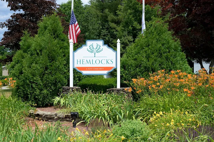 Hemlocks Picture 3