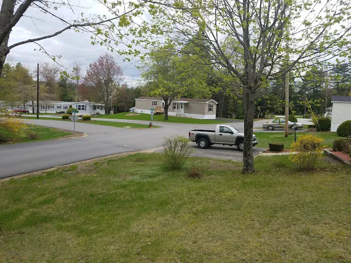 Hemlocks Picture 2