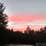 Cozy Pond Camping Resort