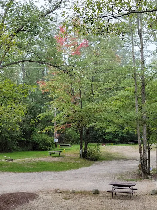 Keyser Pond Campground Picture 6
