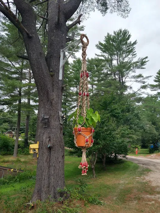 Mountain Pines Campground Picture 5