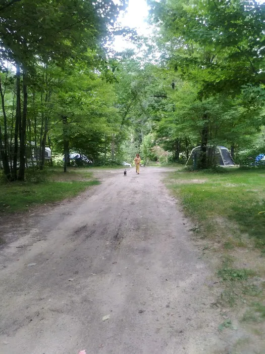Mountain Pines Campground Picture 8