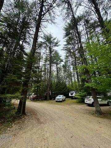 Pine Haven Campground Picture 5