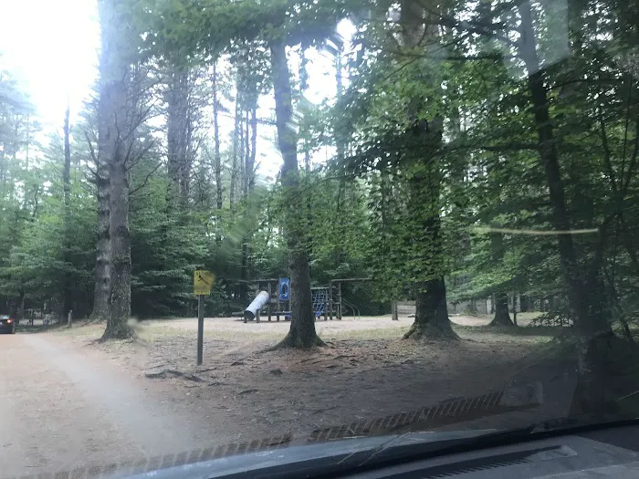Pine Haven Campground Picture 1