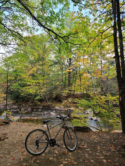 Pine Haven Campground Picture 3