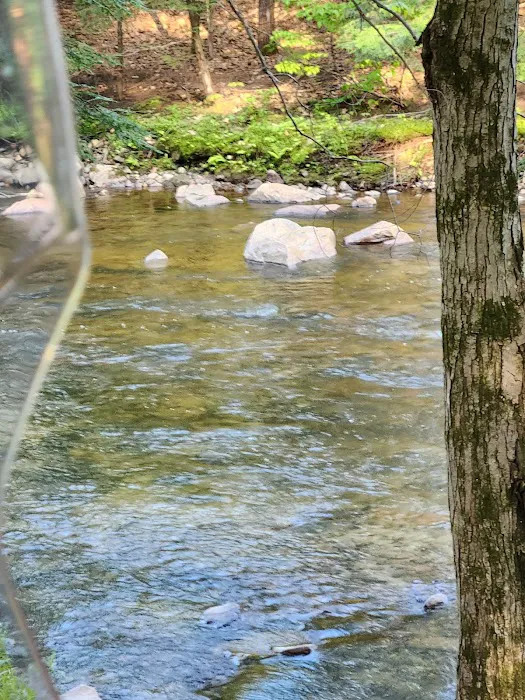 Pine Haven Campground Picture 6