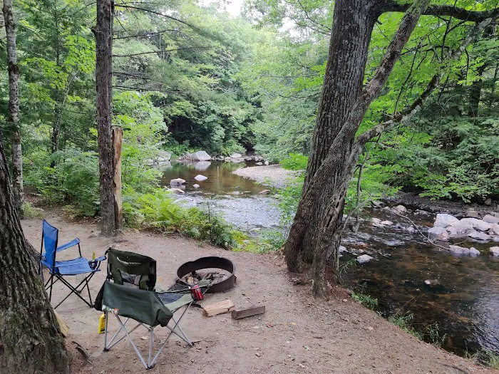 Pine Haven Campground Picture 9