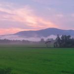 Plymouth Sands Campground