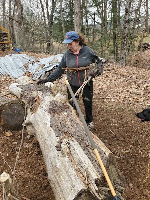 Grandmother Pine Tent Deck Picture 7