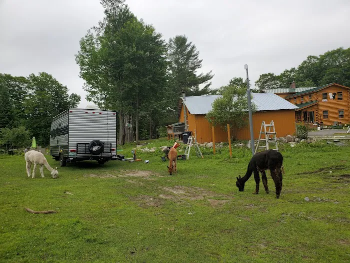 Willoughby Rescue Picture 4