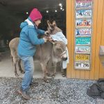 Buddha North Tent Deck