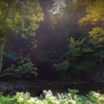 RMC Mobile Home Park