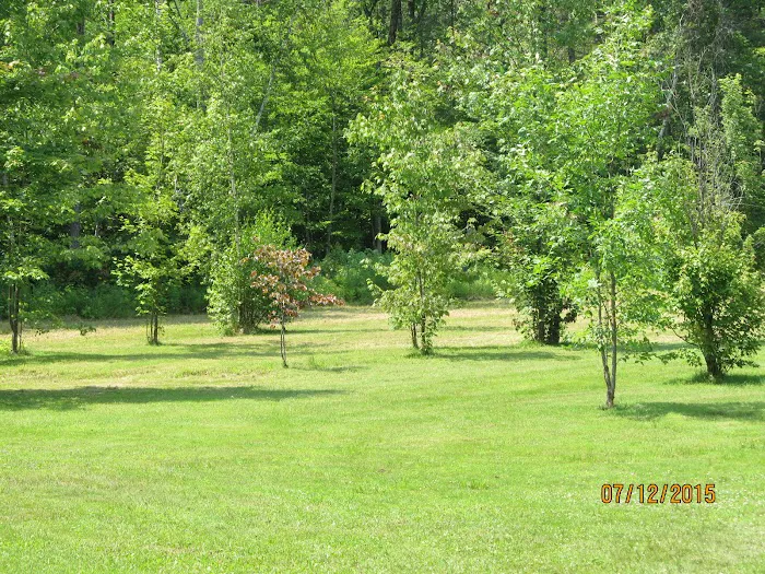 Country Village Campground Picture 7