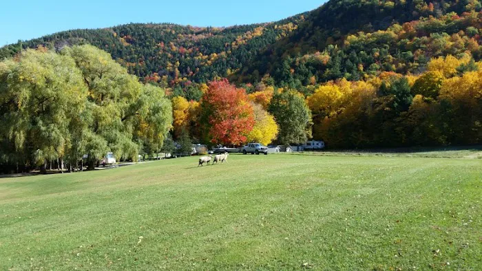 Green Mountain Family Campground Picture 8