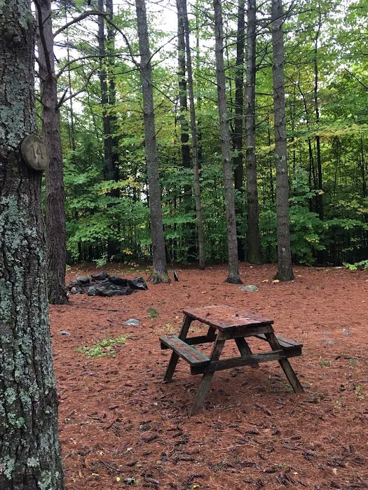 Schroon Lake Camps Picture 8