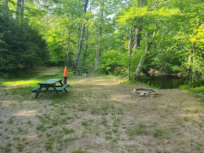 Peppertree Campground Picture 3