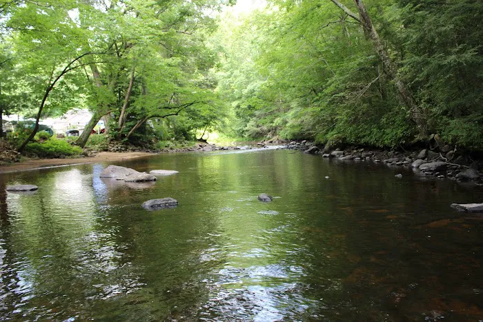 Nickerson Park Family Campground Picture 3