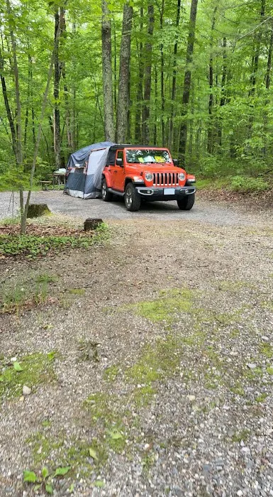 West Thompson Lake Campground Picture 8