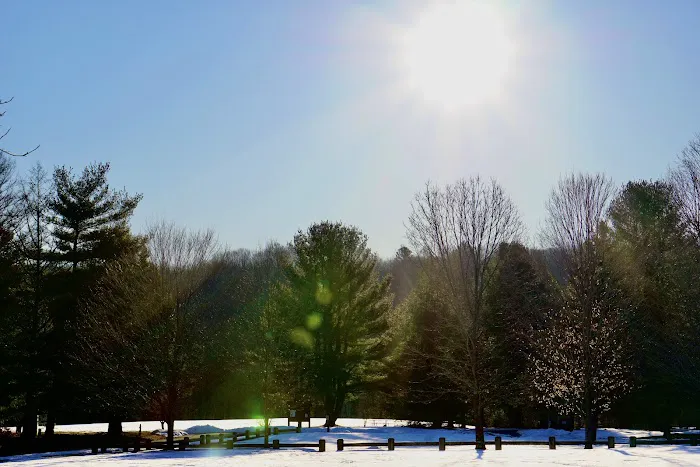 Wolf Den Campground Picture 3