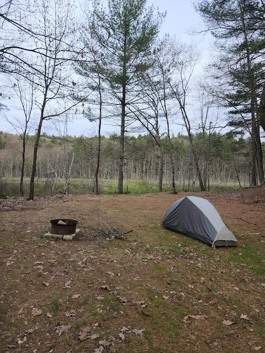 Pout & Trout Picture 10