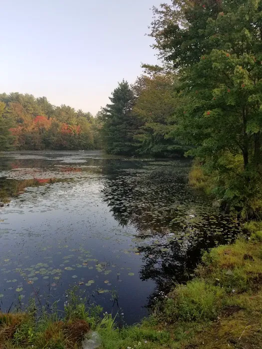 Pout & Trout Picture 7