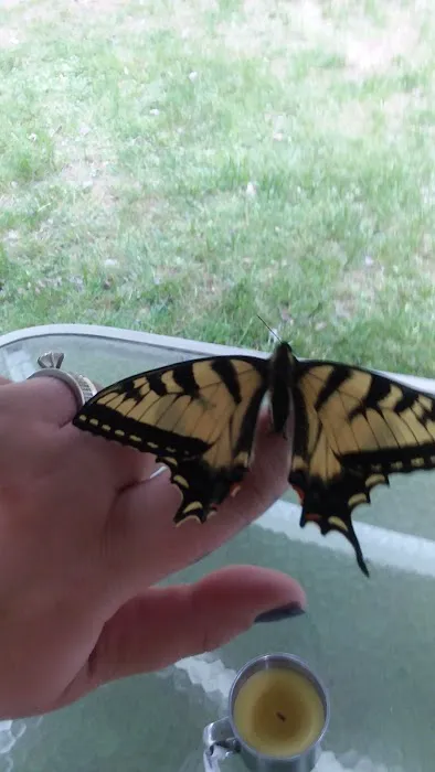 Pout & Trout Picture 8