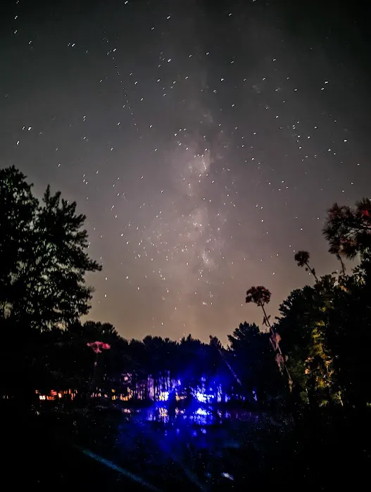 Pout & Trout Picture 2