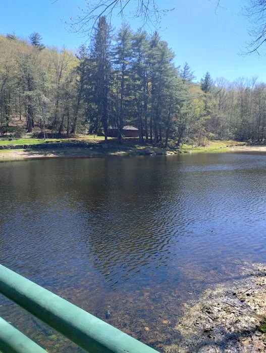 Willard Brook State Forest Campground Picture 8