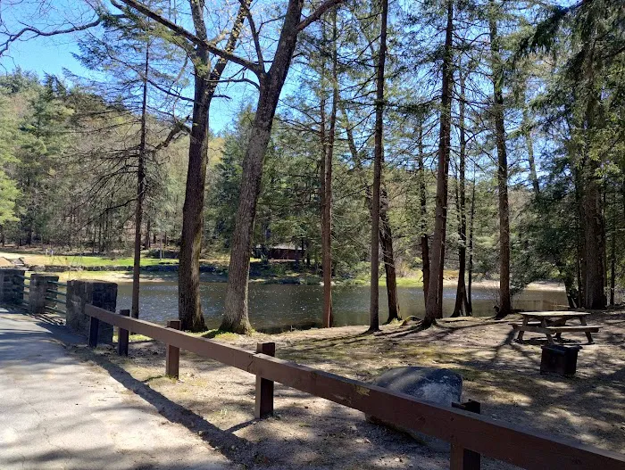 Willard Brook State Forest Campground Picture 2