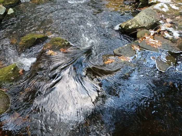 Willard Brook State Forest Campground Picture 9