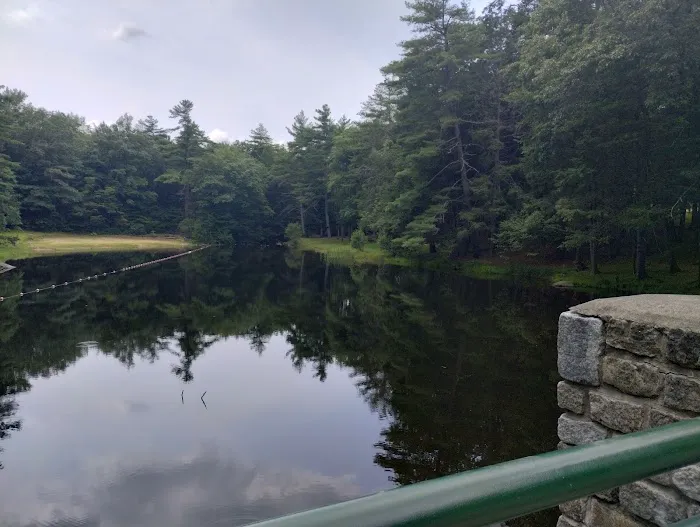 Willard Brook State Forest Campground Picture 3