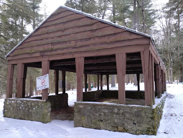 Willard Brook State Forest Campground Picture 4