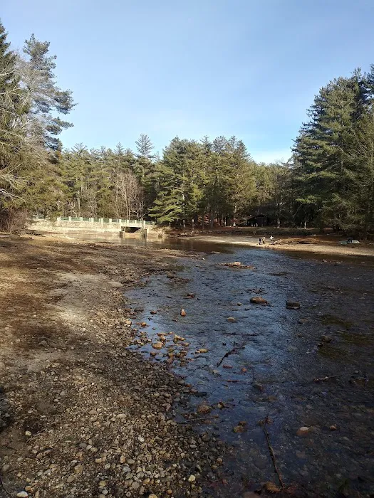 Willard Brook State Forest Campground Picture 5