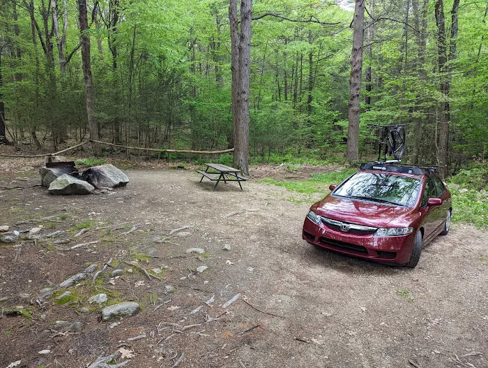 The Pines Campground Picture 2