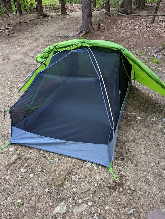 The Pines Campground Picture 4