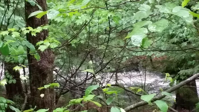 The Pines Campground Picture 6