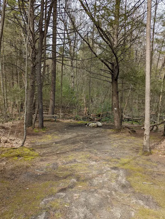 The Pines Campground Picture 8