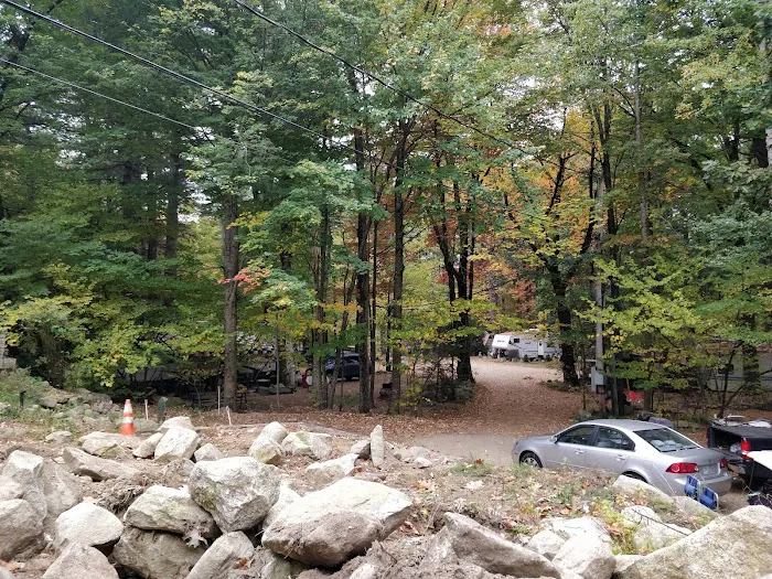 The Pines Campground Picture 7