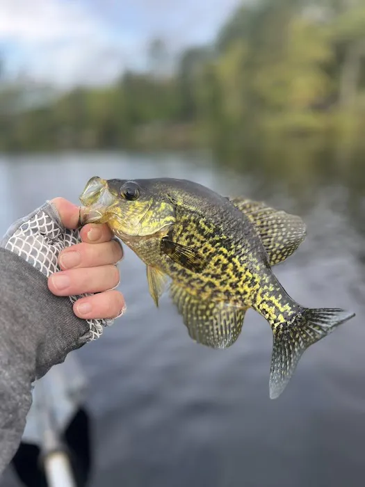 Lake Dean Campground LLC Picture 8