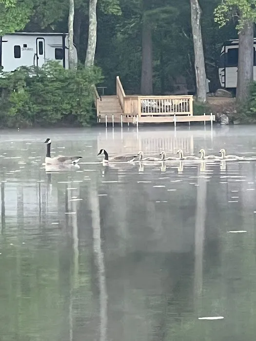 Lake Dean Campground LLC Picture 5