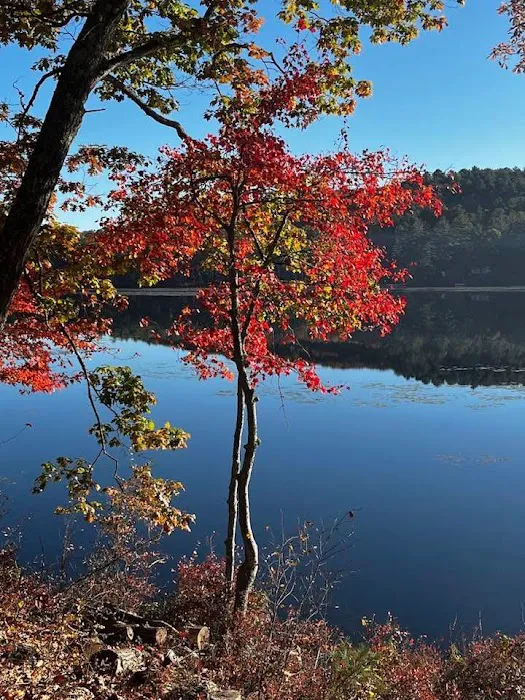Lake Dean Campground LLC Picture 10