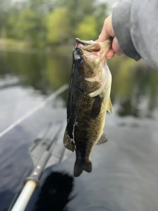 Lake Dean Campground LLC Picture 3